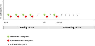 Individualized Monitoring of Muscle Recovery in Elite Badminton